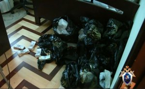В Кирове перед судом предстанут трое организаторов подпольных казино с доходом свыше 14 млн рублей 2